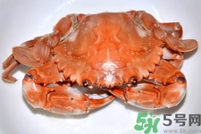 新鮮螃蟹該如何保存？熟螃蟹怎么存放？