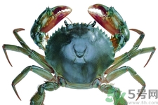 螃蟹死了還能吃嗎？螃蟹怎么清洗？