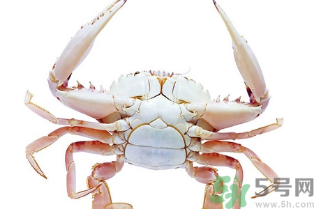 螃蟹死了還能吃嗎？螃蟹怎么清洗？