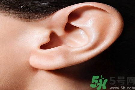 耳朵嗡嗡響怎么回事？耳朵嗡嗡響怎么辦？