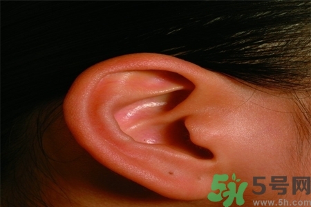耳朵嗡嗡響怎么回事？耳朵嗡嗡響怎么辦？