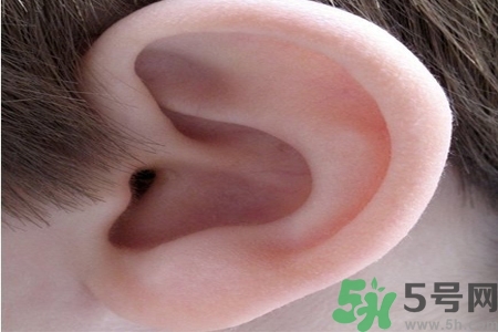 耳朵癢是怎么回事？耳朵癢怎么辦？