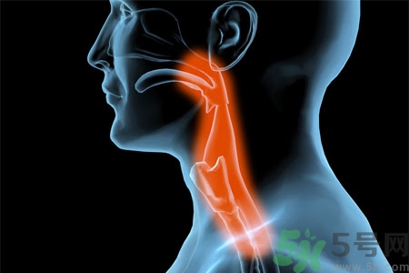 癲癇的發(fā)病因素？癲癇的并發(fā)癥有哪些？