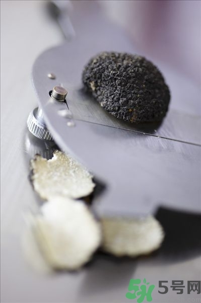 黑松露的功效與作用,吃黑松露好嗎? 黑松露的功效與作用,吃黑松露好嗎?