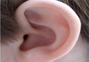 耳朵后面長(zhǎng)了個(gè)硬包怎么回事？ 耳朵后面長(zhǎng)了個(gè)硬包怎么辦？