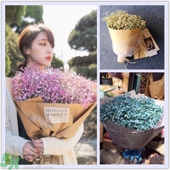 七夕送女朋友什么花？七夕送女朋友花送幾朵？