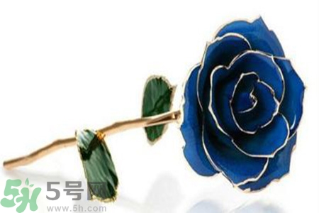 七夕送女朋友什么花？七夕送女朋友花送幾朵？