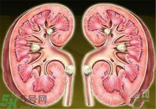 慢性腎炎能治好嗎？慢性腎炎能活多久？