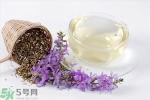 喝菊花茶有有什么好處?菊花茶的功效與作用 喝菊花茶有有什么好處?菊花茶的功效與作用