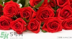 七夕和女朋友怎么過？七夕和女朋友說什么？