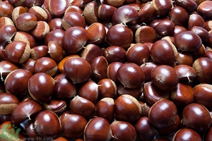 懷孕能吃板栗嗎？懷孕能吃生板栗嗎？