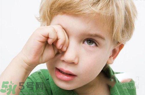 秋季眼睛干澀怎么辦？秋季眼睛干澀怎么調(diào)理？