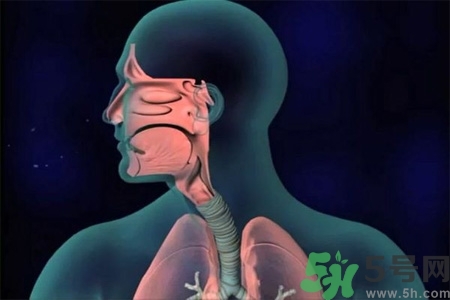 過敏性鼻炎的高發(fā)人群有哪些？如何預(yù)防過敏性鼻炎？