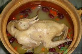 孕婦可以喝鴿子湯嗎？鴿子湯的功效與作用