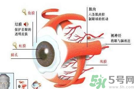 白內(nèi)障的護(hù)理措施是什么？白內(nèi)障的飲食護(hù)理有哪些？