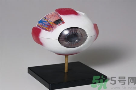 白內(nèi)障的發(fā)病因素是什么？白內(nèi)障并發(fā)癥有哪些？