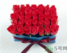 玫瑰花怎么養(yǎng)久一點?玫瑰花的養(yǎng)護(hù) 玫瑰花怎么養(yǎng)久一點?玫瑰花的養(yǎng)護(hù)