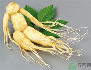 人參能生吃嗎？人參能泡水喝嗎？