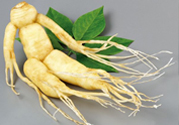 人參能生吃嗎？人參能泡水喝嗎？