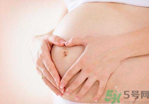 茲卡病毒通過什么途徑傳播？茲卡病毒的危害？