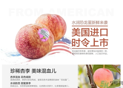 恐龍蛋水果孕婦可以吃嗎？恐龍蛋的禁忌