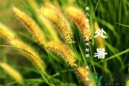 處暑出生的人怎么取名？處暑出生的人的命運(yùn)？