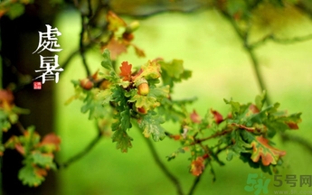 處暑出生的人怎么取名？處暑出生的人的命運(yùn)？