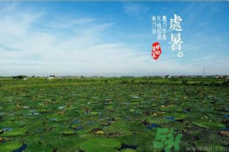 處暑出生的人怎么取名？處暑出生的人的命運(yùn)？