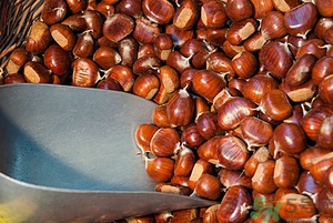 女人吃板栗好不好？男人吃板栗有什么好處？