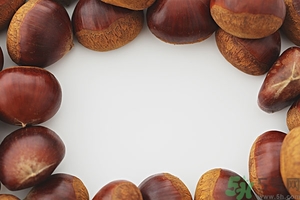 板栗發(fā)芽了能吃嗎？發(fā)芽的板栗還能吃嗎？