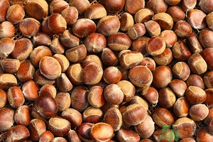 板栗皮可以吃嗎？板栗皮的功效與作用