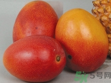 青芒和黃色芒果哪個(gè)好？青芒和黃色芒果的區(qū)別