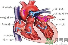先天性心臟病可以用藥物治療嗎？