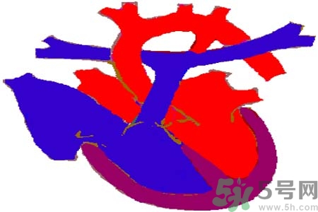 如何預(yù)防心臟病？心臟病的禁忌癥有哪些？