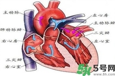 心臟病的癥狀是什么？心臟病的種類有哪些？