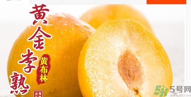 恐龍蛋水果怎么吃？恐龍蛋水果皮能吃嗎？