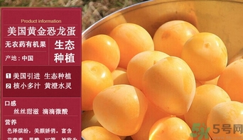 恐龍蛋水果怎么吃？恐龍蛋水果皮能吃嗎？