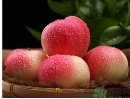 孕婦可以吃嘎啦果嗎？嘎啦果的禁忌