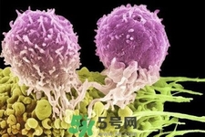 不宜過多食用辣椒的人群有哪些？夏天吃辣椒的好處有哪些？