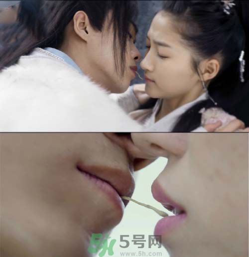 天空草是什么？天空草有什么用？