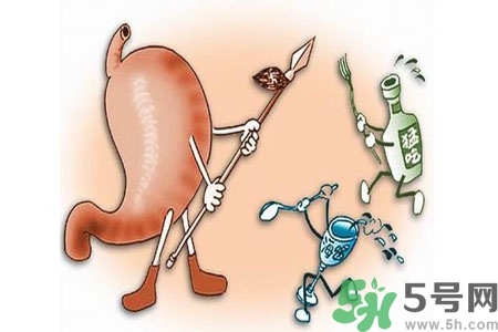 哪些食物幫你在酒后保養(yǎng)胃部？養(yǎng)胃護胃的誤區(qū)是什么？