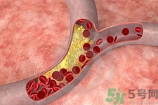 膽固醇對人體有傷害嗎？膽固醇是什么？