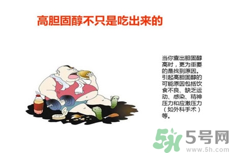 高膽固醇人群該怎么辦？膽固醇高需注意什么？