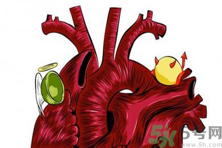 人體中的膽固醇分好壞嗎？如何區(qū)分膽固醇的好壞？