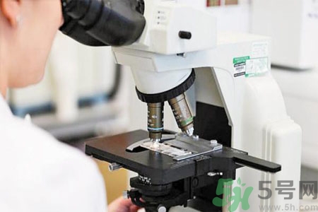 激素是什么？激素會對人體產(chǎn)生什么作用？