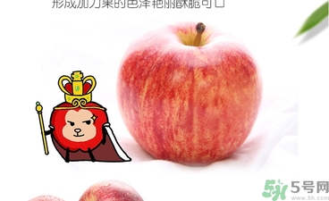 姬娜果是什么？姬娜果的功效作用