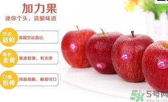 姬娜果是什么？姬娜果的功效作用