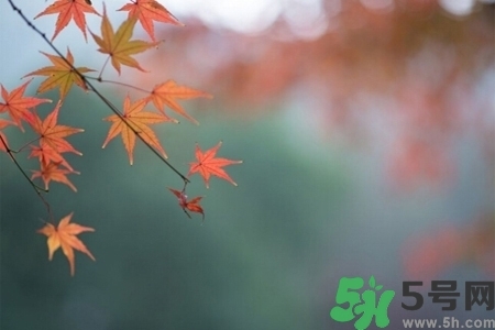 秋天換季病有哪些？秋天該如何保健養(yǎng)生呢？