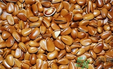 吃松子有什么好處?松子的功效與作用