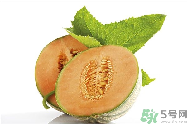 哈密瓜榨汁要加水嗎？哈密瓜榨汁搭配什么？